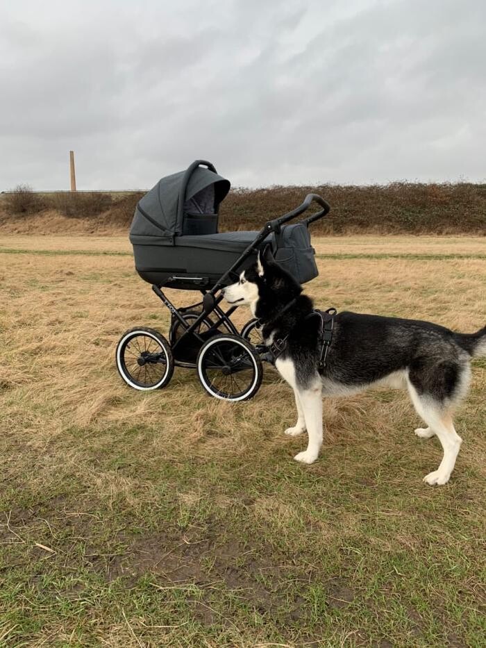 Bilder Kinderwagen Babymar - FEDER Kinderwagen