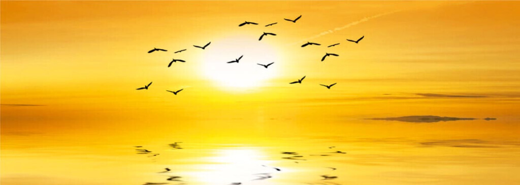 Bilder Bestattungen Schmitt