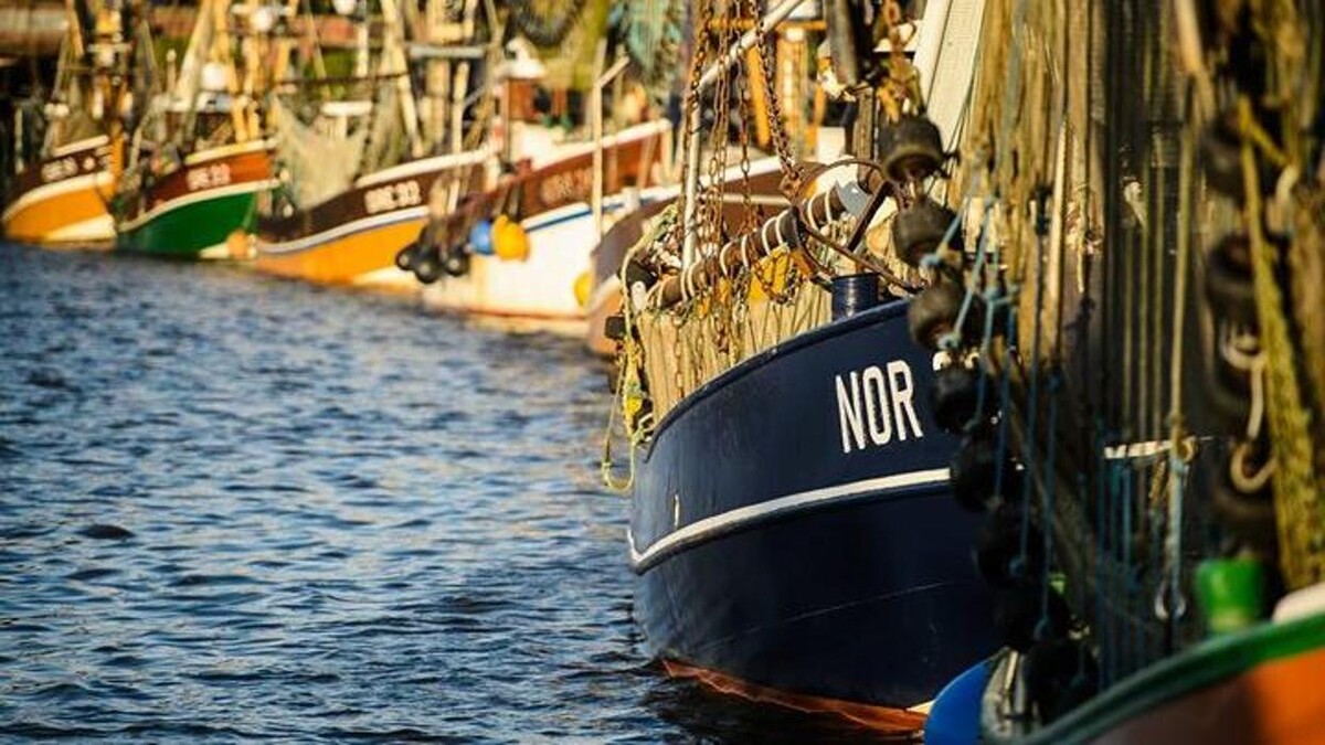 Bilder NBC Touristik und Ferienimmobilien Service