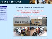 Screenshot for www.suzuki-storm.de