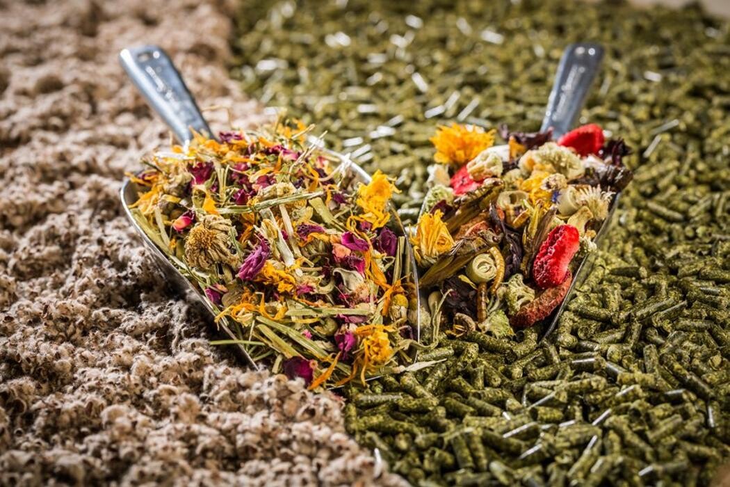 Bilder Theodor Backs GmbH