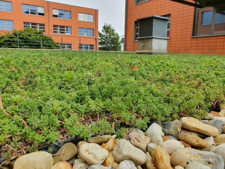 Bilder Essers Bedachungen GmbH