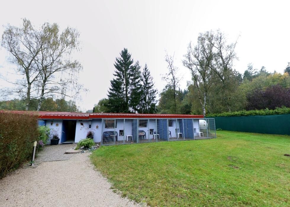 Bilder Tierpension Haas