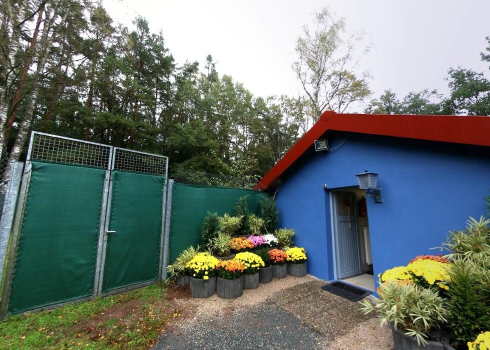 Bilder Tierpension Haas