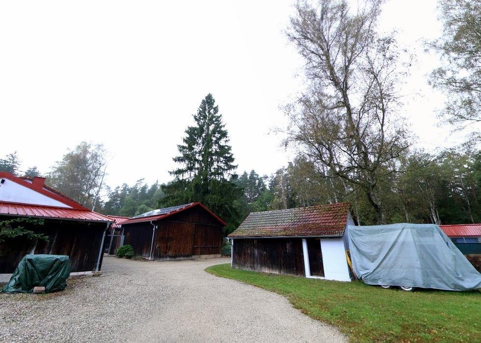 Bilder Tierpension Haas