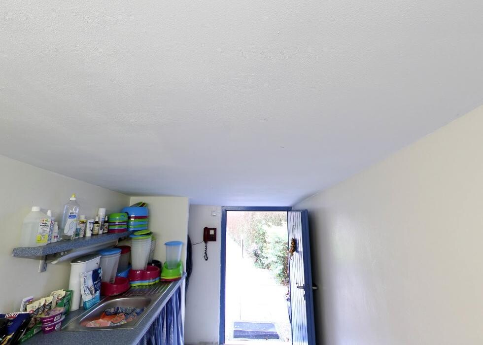 Bilder Tierpension Haas