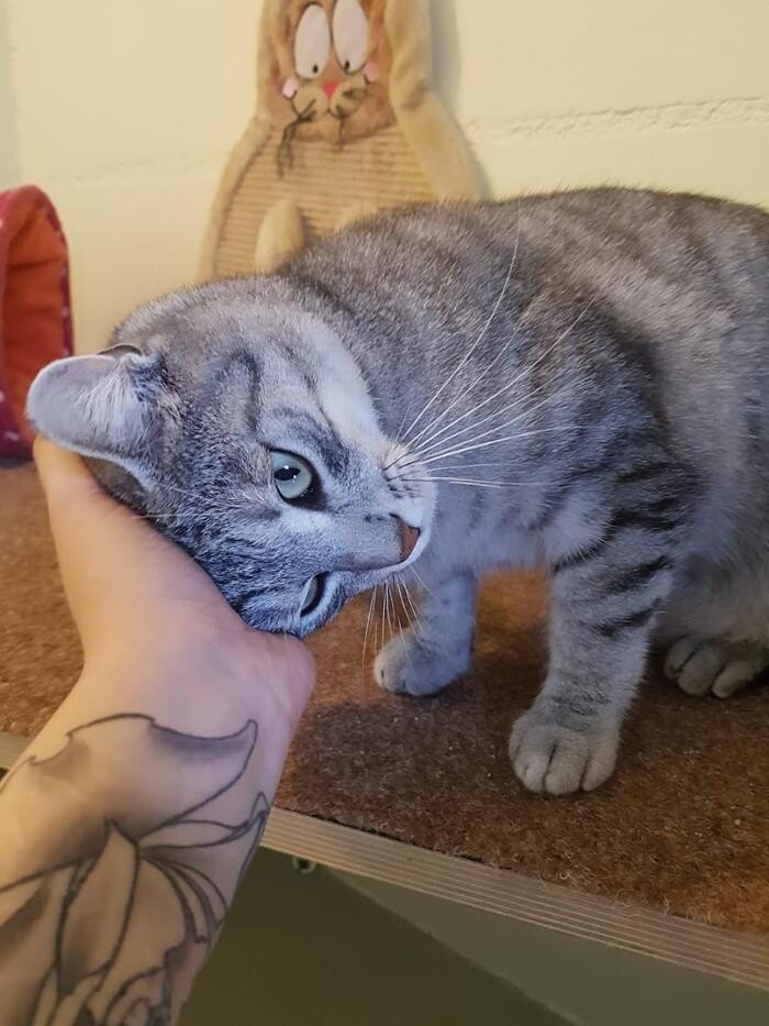 Bilder Tierpension Haas