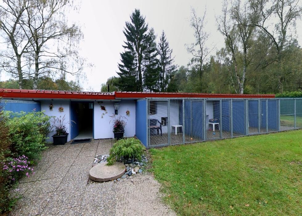 Bilder Tierpension Haas