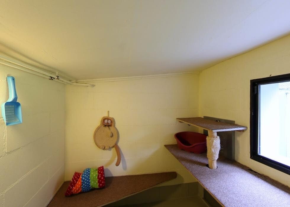 Bilder Tierpension Haas