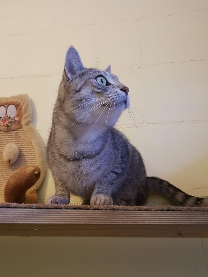 Bilder Tierpension Haas