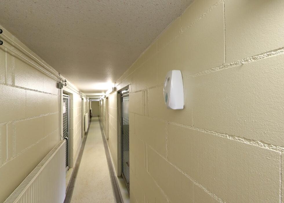 Bilder Tierpension Haas