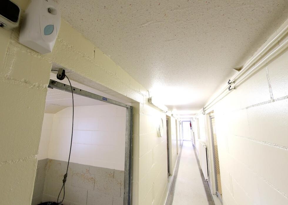 Bilder Tierpension Haas