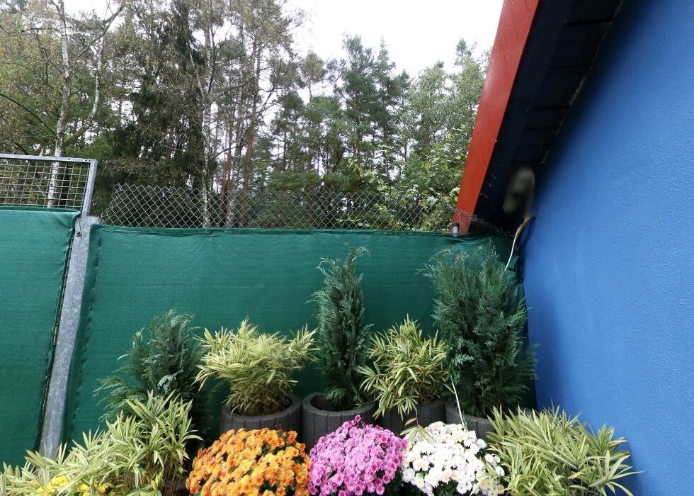 Bilder Tierpension Haas