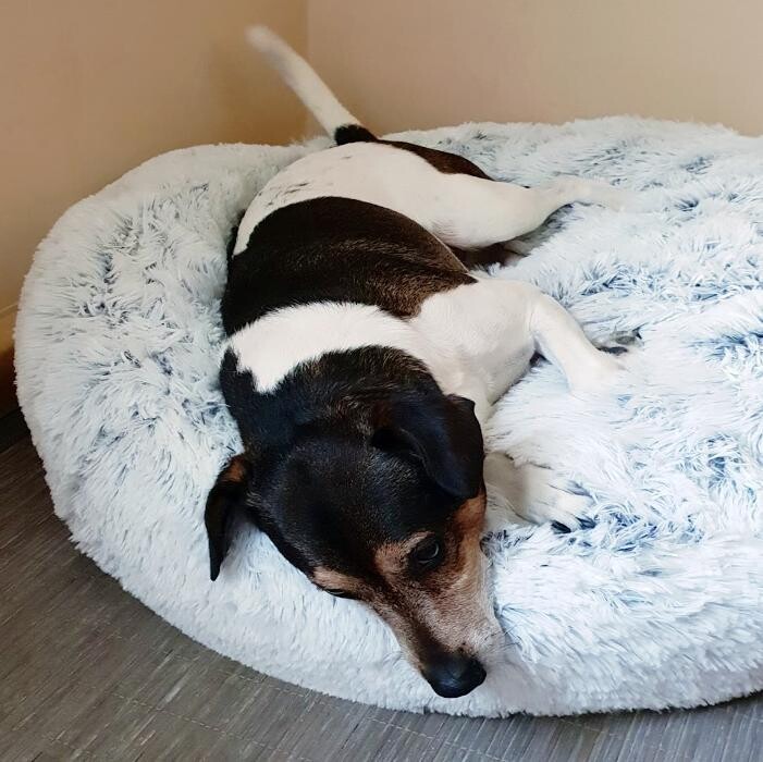 Bilder Tierpension Haas