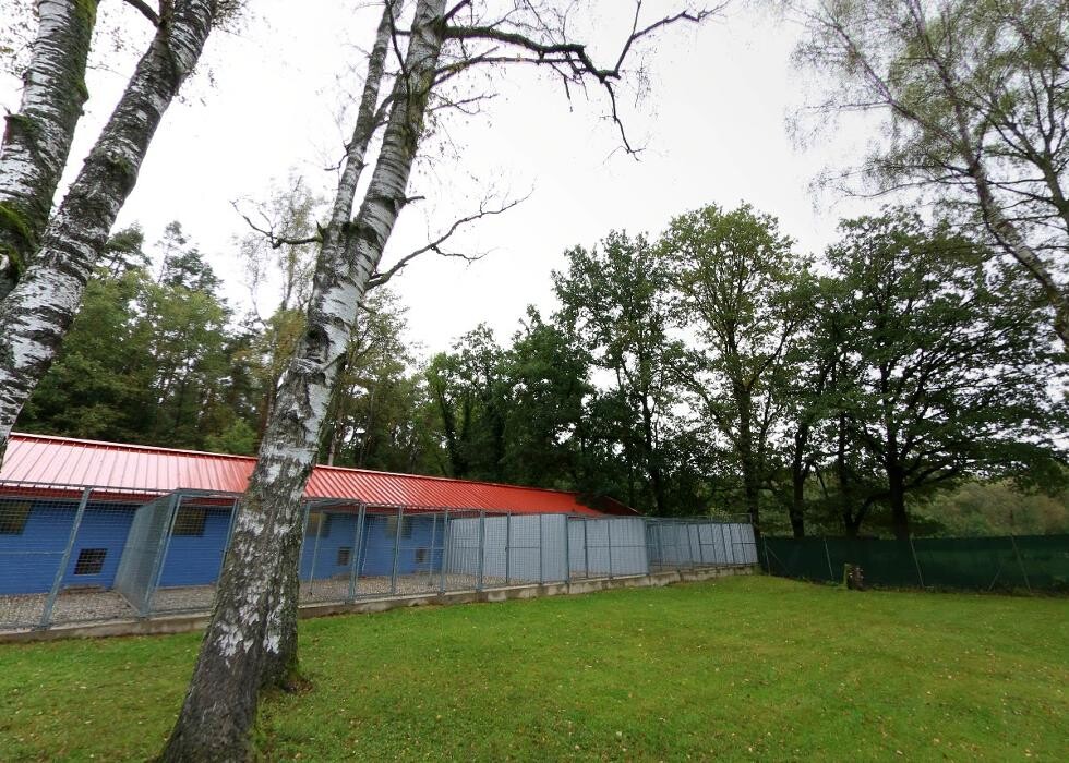 Bilder Tierpension Haas