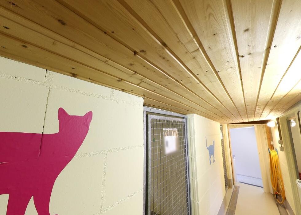 Bilder Tierpension Haas