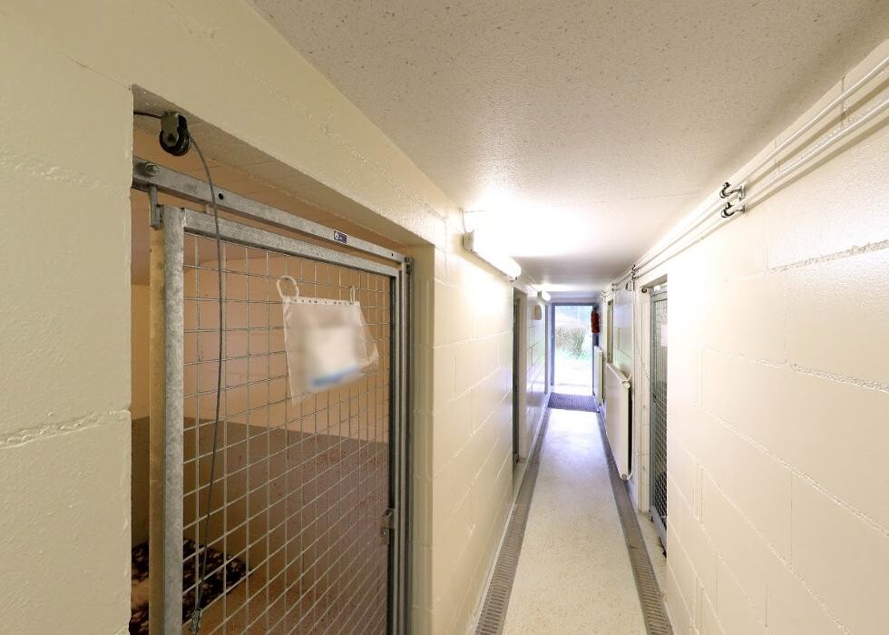 Bilder Tierpension Haas