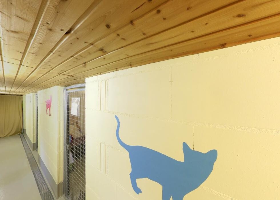 Bilder Tierpension Haas