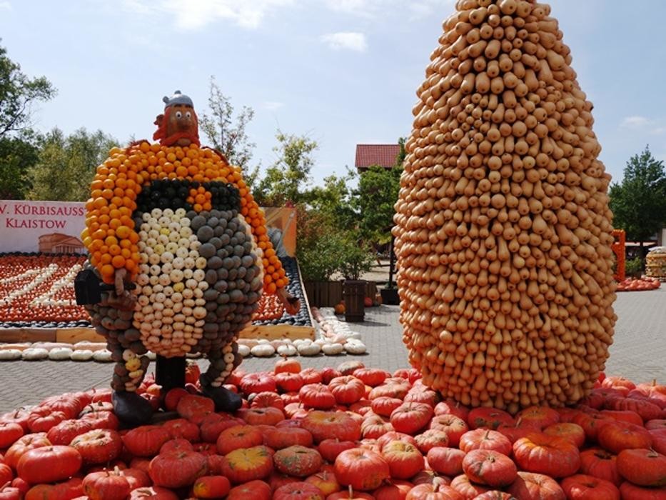 Bilder Spargel- und Erlebnishof Klaistow