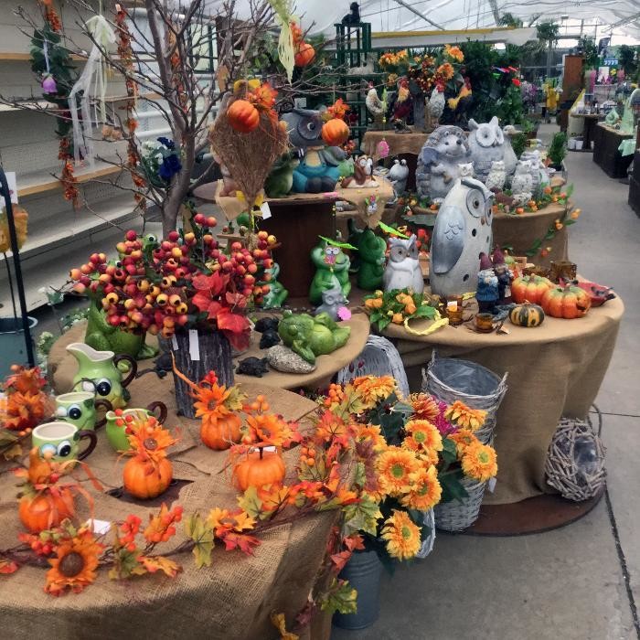 Bilder Pluta Gartencenter Brandenburg/Havel GmbH