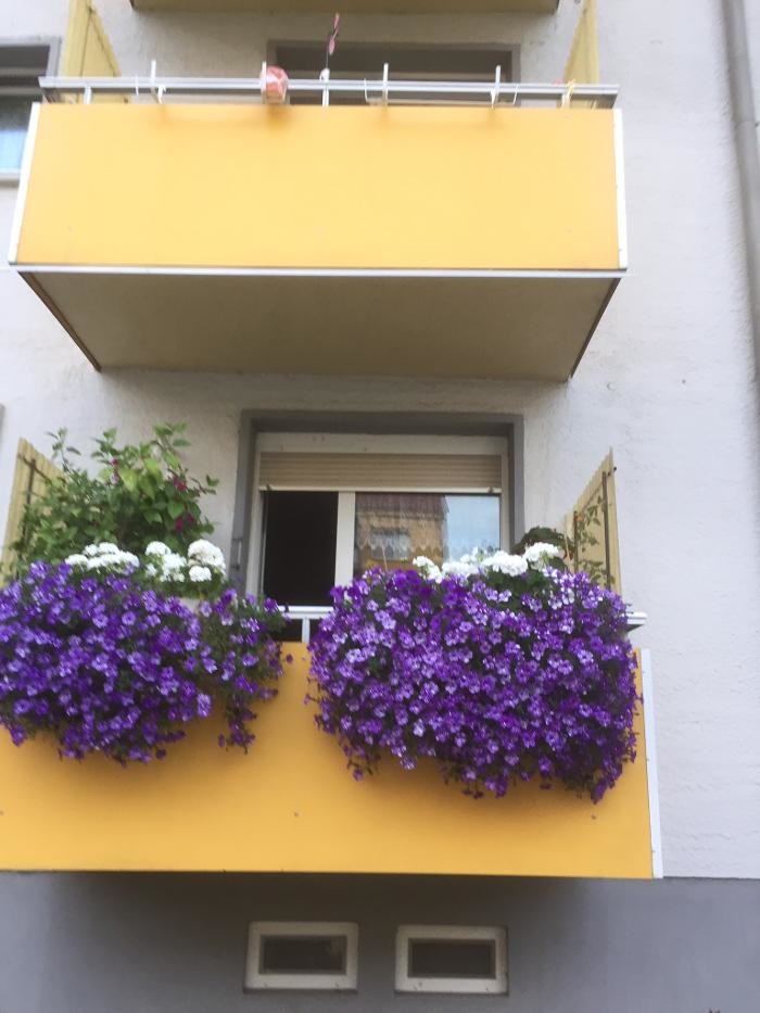 Bilder Pluta Gartencenter Brandenburg/Havel GmbH