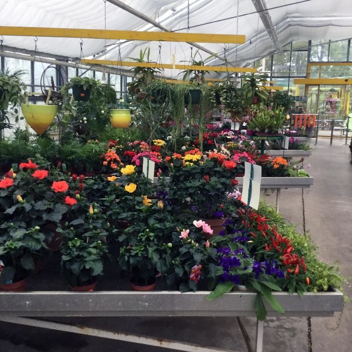 Bilder Pluta Gartencenter Brandenburg/Havel GmbH