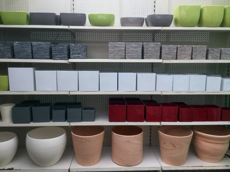 Bilder Pluta Gartencenter Brandenburg/Havel GmbH