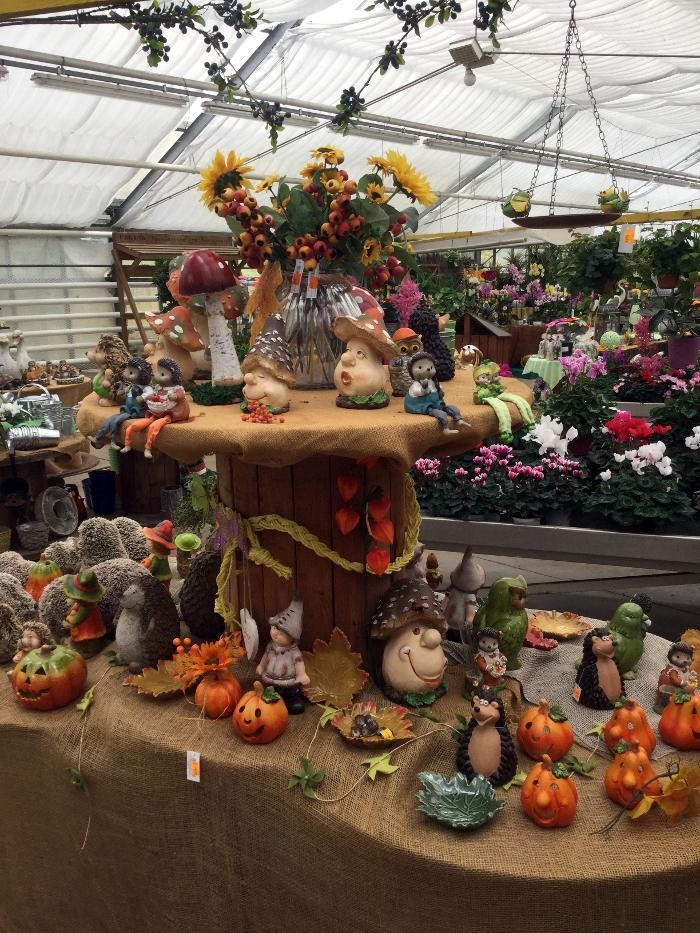 Bilder Pluta Gartencenter Brandenburg/Havel GmbH