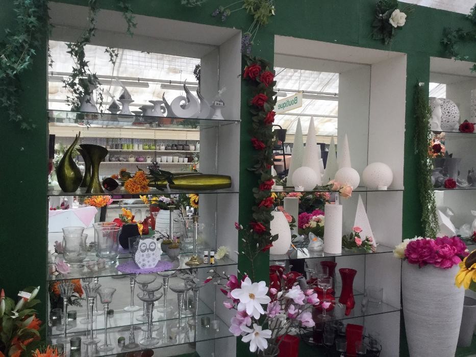 Bilder Pluta Gartencenter Brandenburg/Havel GmbH