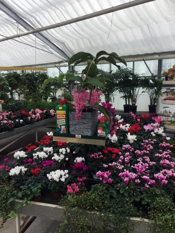 Bilder Pluta Gartencenter Brandenburg/Havel GmbH