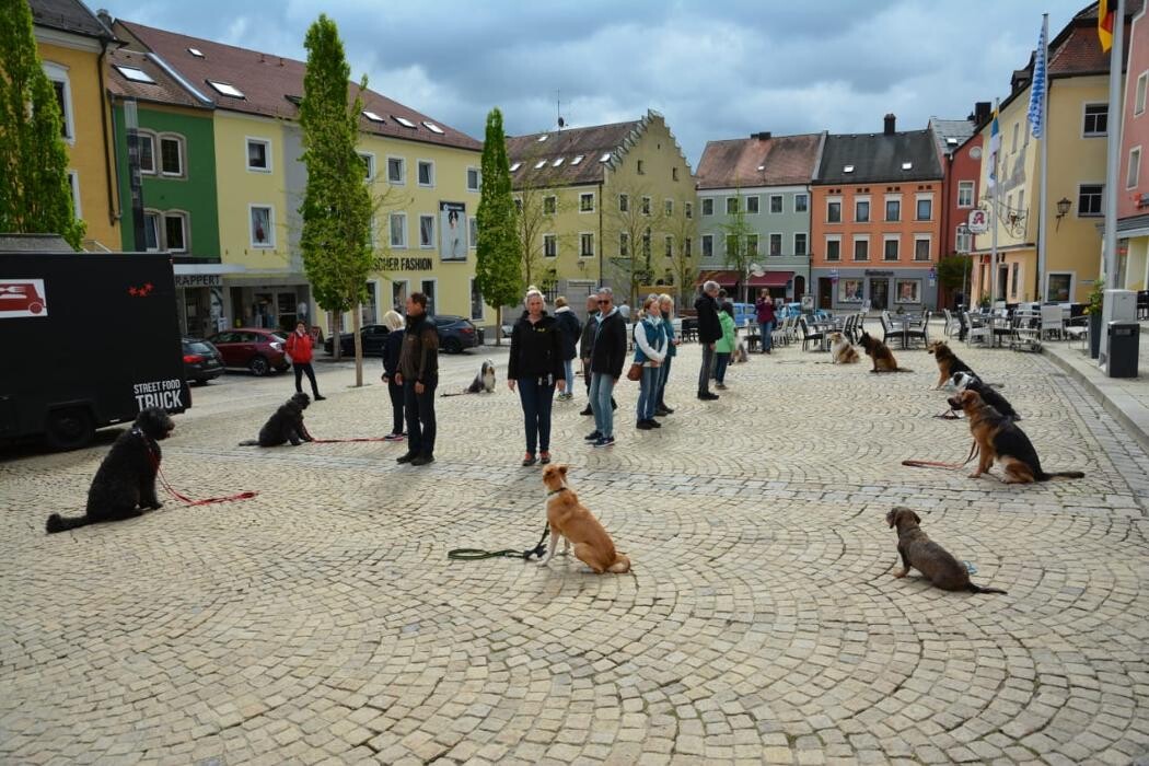 Bilder Dogland rhein-main
