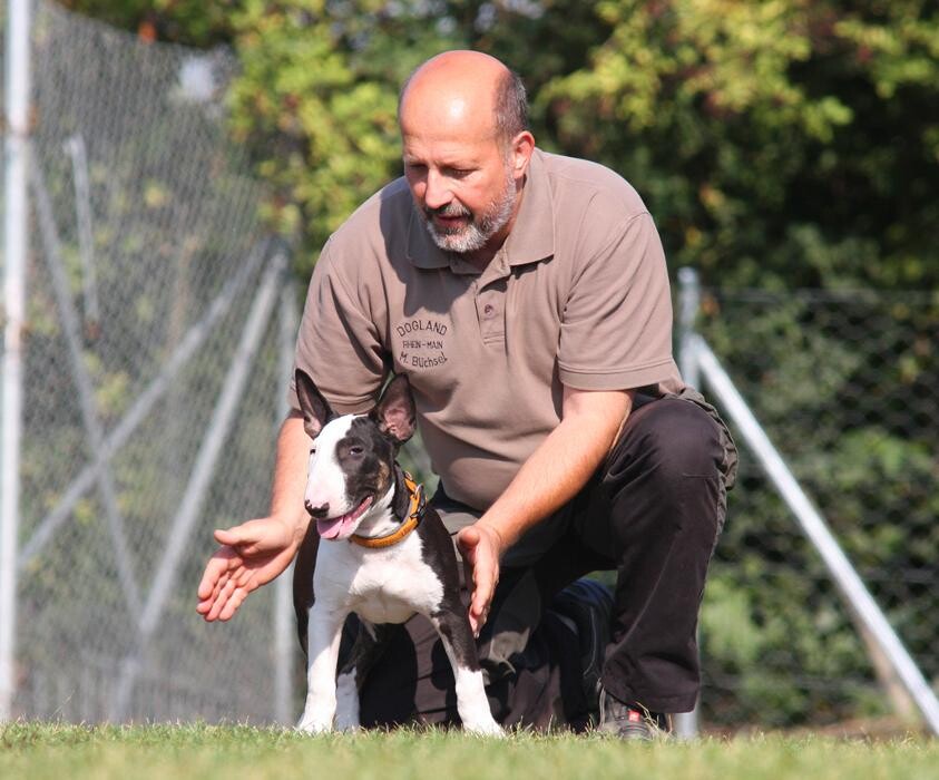Bilder Dogland rhein-main