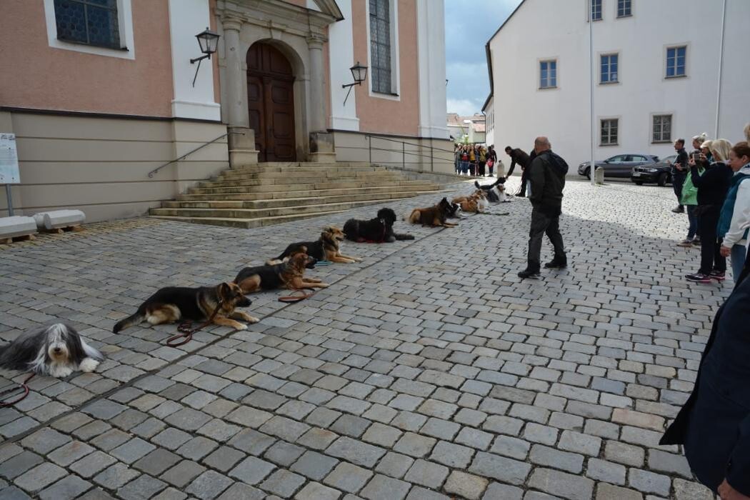 Bilder Dogland rhein-main
