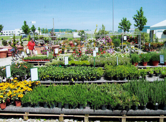 Bilder Andrea Wölfle Garten- und Landschaftsbau