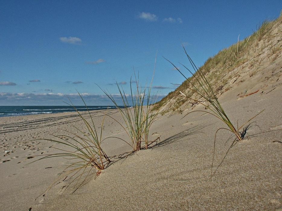 Bilder Buchungszentrum Sylt