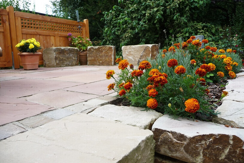 Bilder Niebuhr Gartengestaltung GmbH