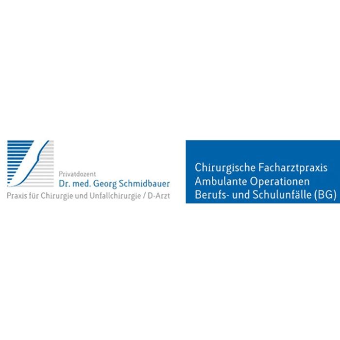 Dr. Georg Schmidbauer Priv. Doz. Dr. Logo