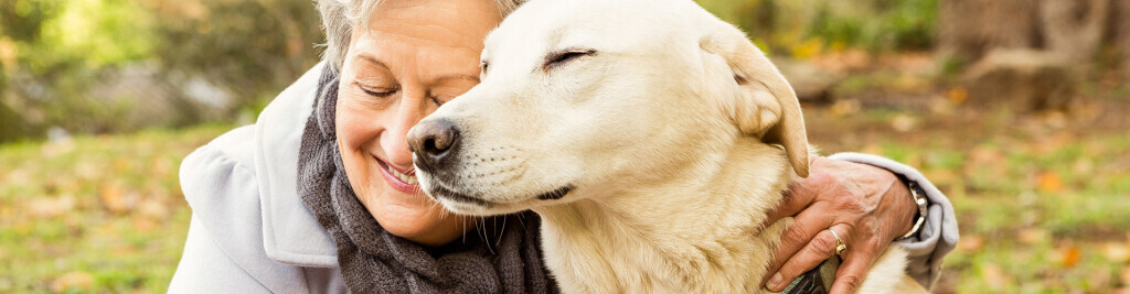 Bilder Tierarztpraxis Dr. Schüddemage & Urlbauer GmbH