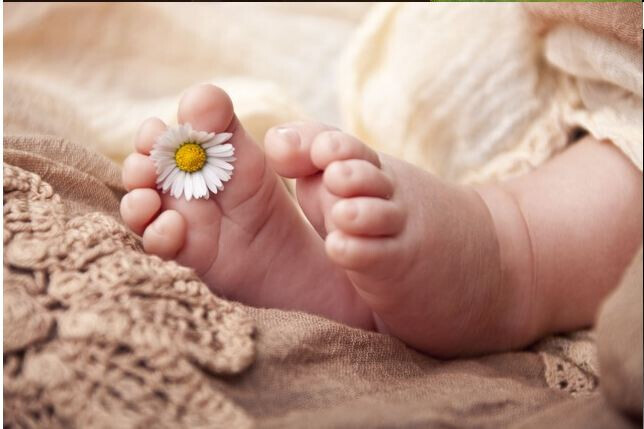 Bilder Der Photoshop GmbH