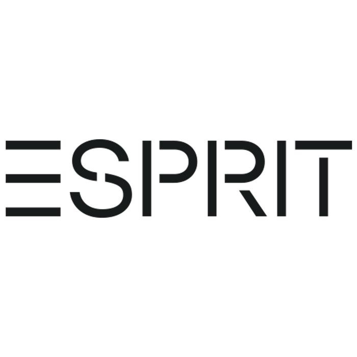 Esprit Plauen Logo