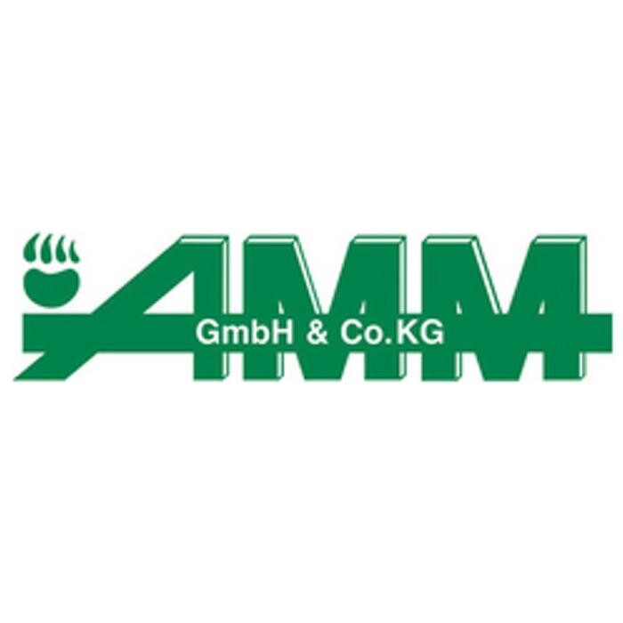 AMM GmbH & Co. Kraftwagen-Service KG Logo