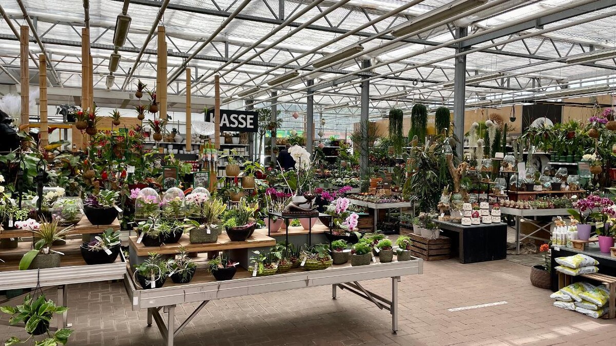 Bilder Gartenbau Rülcker