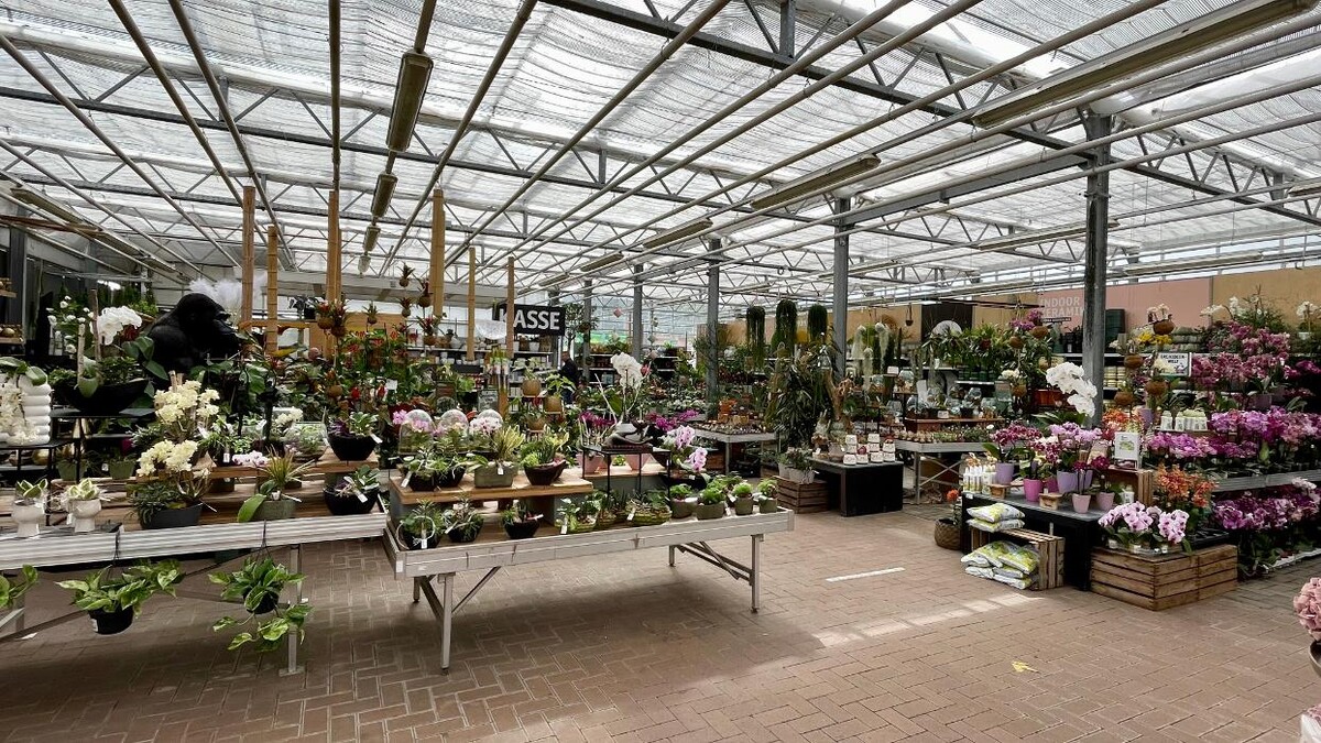 Bilder Gartenbau Rülcker