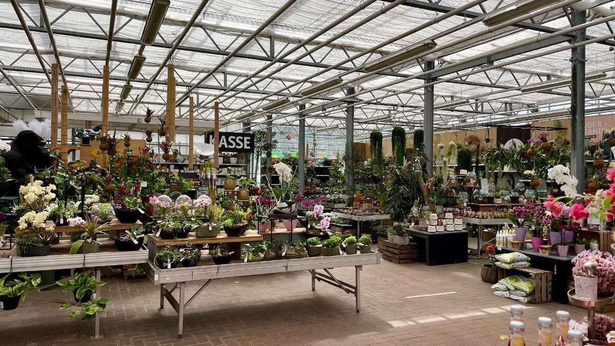 Bilder Gartenbau Rülcker