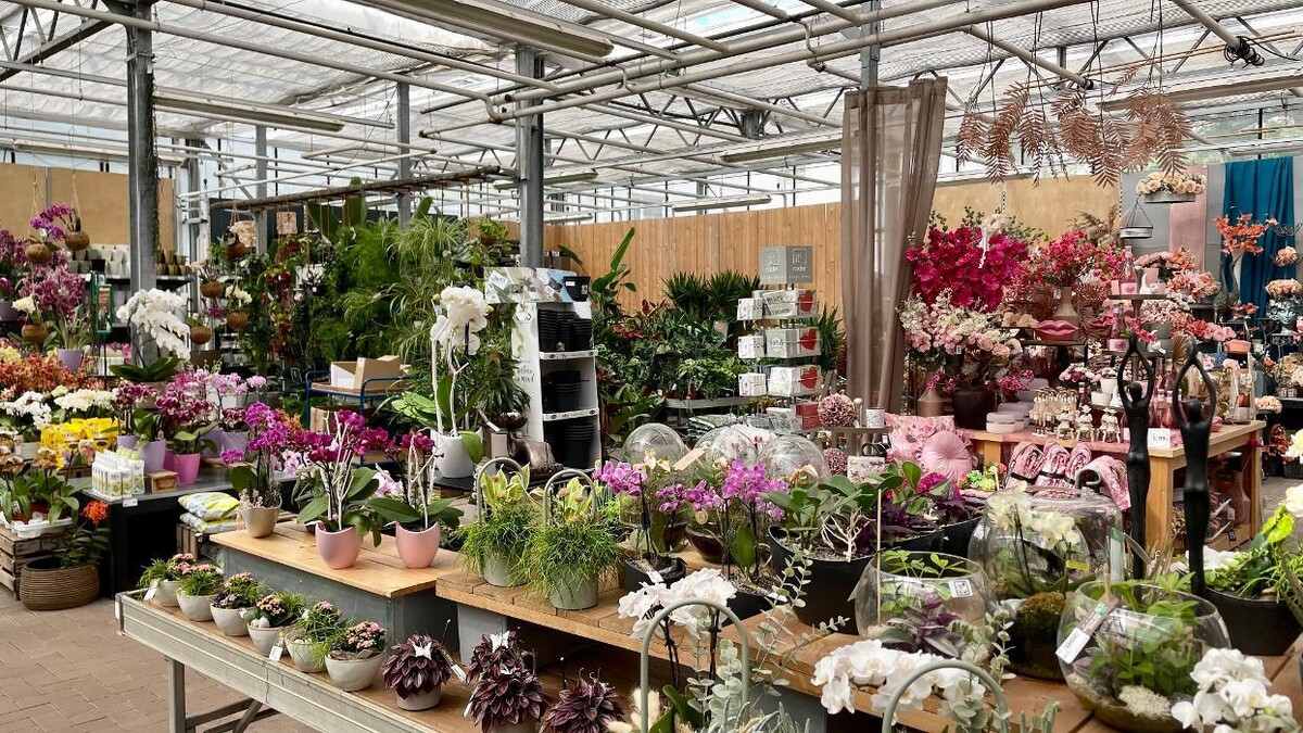 Bilder Gartenbau Rülcker