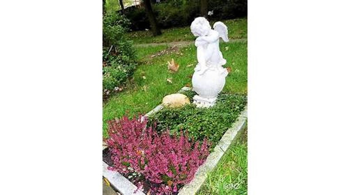Bilder Bärolina Haustierbestattungen & Bärliner Tierfriedhof
