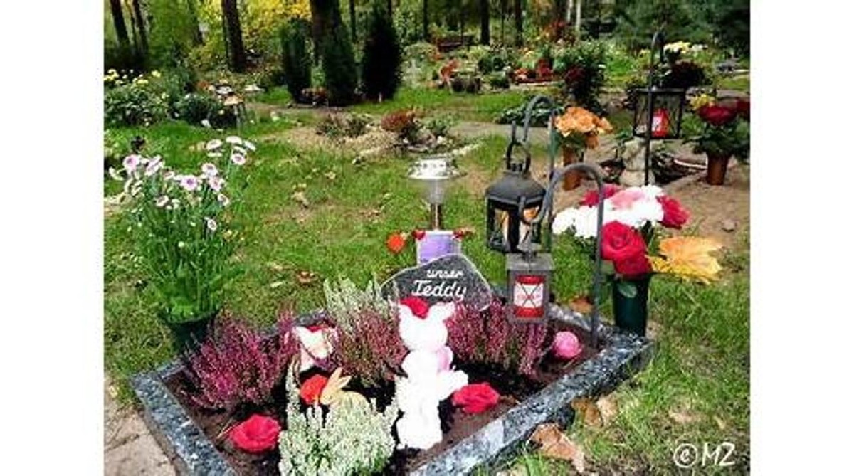 Bilder Bärolina Haustierbestattungen & Bärliner Tierfriedhof