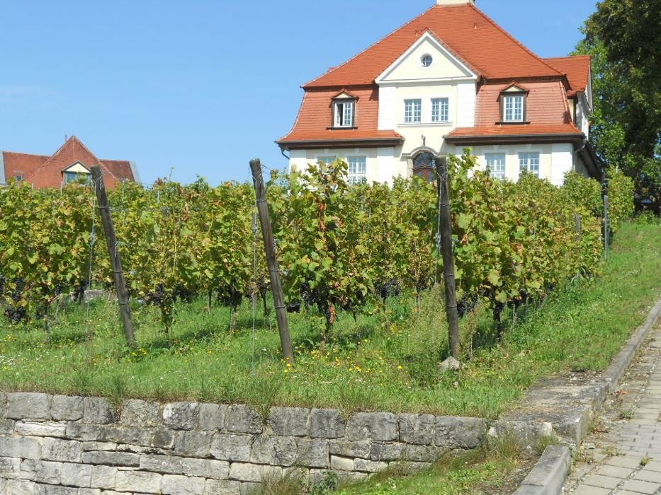 Bilder Institut für Agrar-& Umweltanalytik