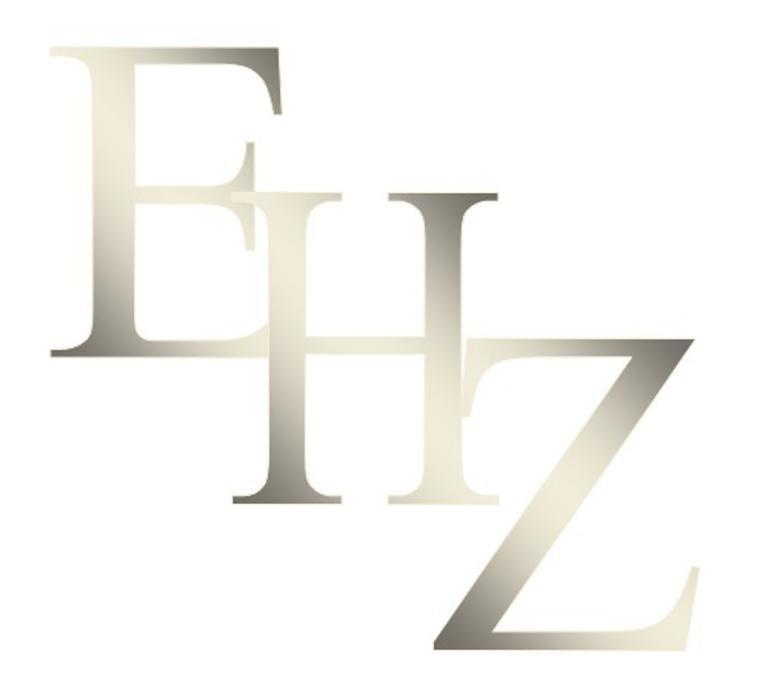 EHZ Erdbau & Dienstleistungs GmbH -Tiefbau - Logo