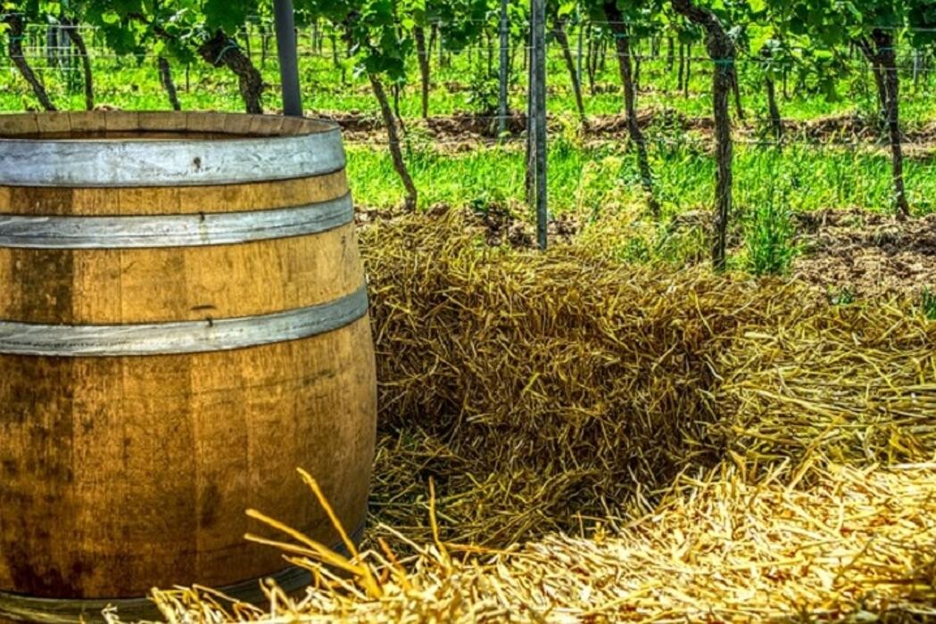 Bilder Weingut Weilbächer